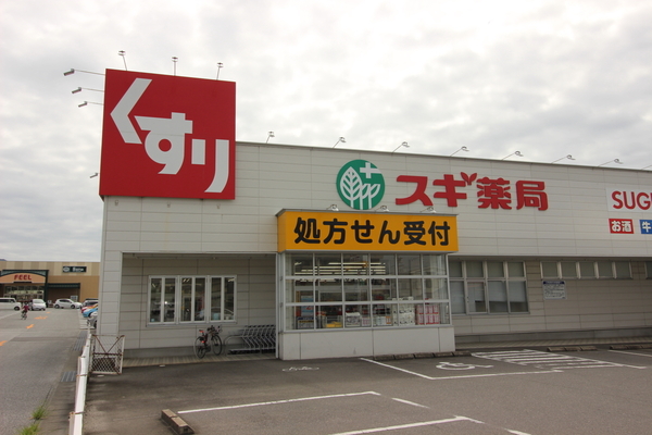 蒲郡市水竹町東千丸の中古一戸建て(スギ薬局蒲郡北店)
