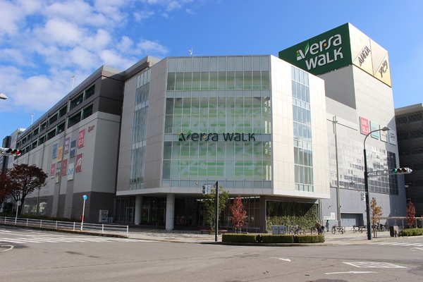 西尾市矢曽根町赤地の土地(アピタ西尾店)