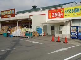 西尾市矢曽根町赤地の土地(スギ薬局花ノ木店)