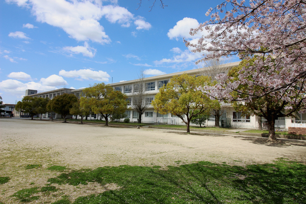 西尾市小島町寺内の土地(西尾市立三和小学校)