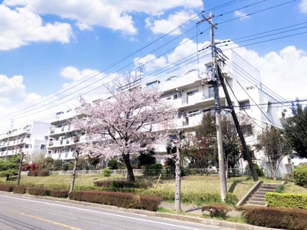 千葉ニュータウン大山口団地２－４－３号棟
