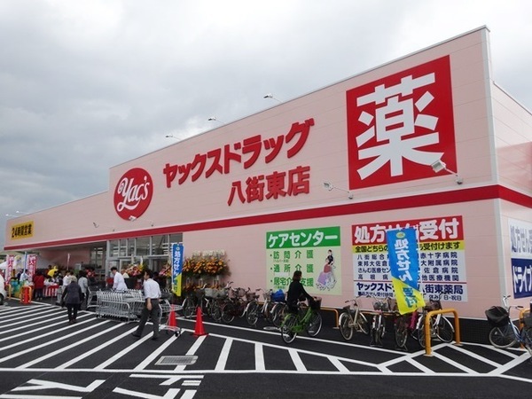 八街市吉倉の土地(ヤックスドラッグ八街東店)