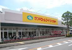千葉市若葉区みつわ台5期 全2棟(ランドロームフードマーケット都賀店)