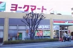 船橋市松が丘3丁目3 新築戸建て 全2棟(ヨークマート緑が丘店)