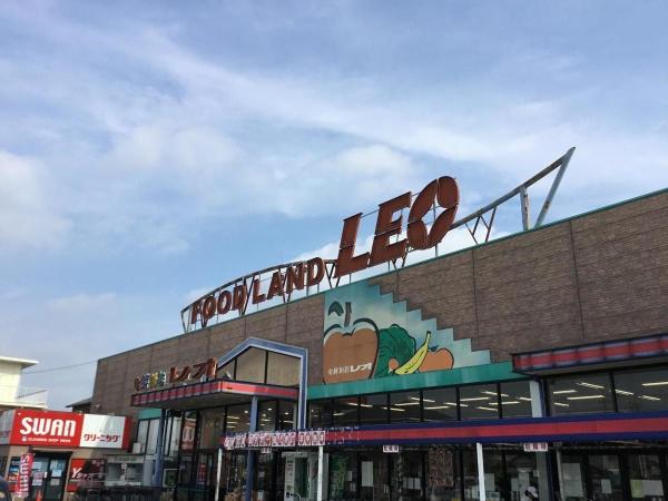 千葉市緑区高田町 新築戸建て(フードランドレオ誉田店)