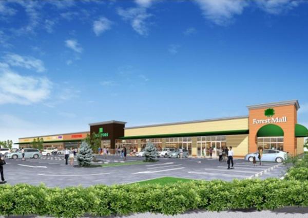 印西市高花7期 新築戸建て 全2棟(マルエツフォレストモール印西牧の原店)