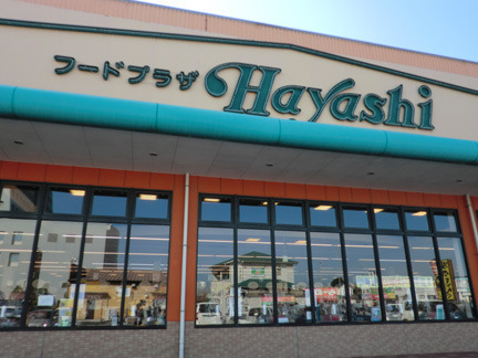 茂原市萩原町3丁目 新築戸建て 全3棟(フードプラザハヤシセントモール店)