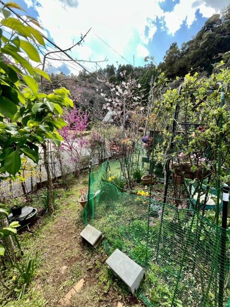 夷隅郡御宿町御宿台の中古一戸建て