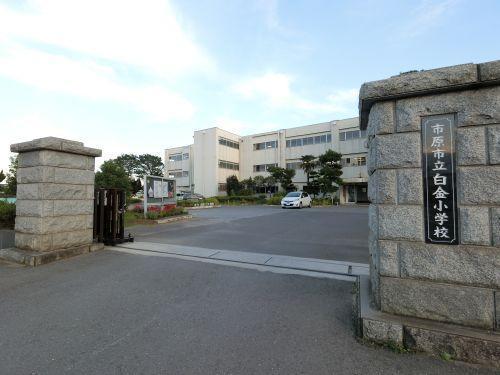 グラファーレ市原市君塚9期 全1棟 新築戸建(市原市立白金小学校)