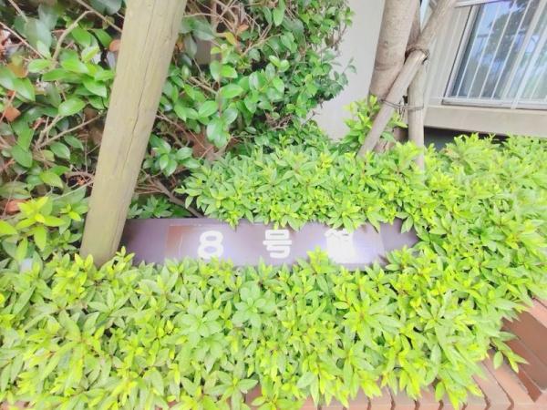 稲毛スカイタウンやすらぎの街8号館