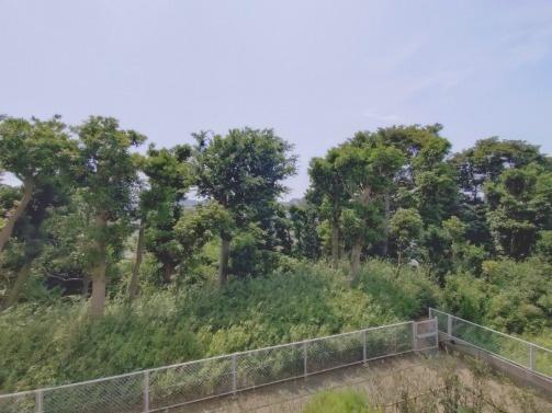 幕張ハウス