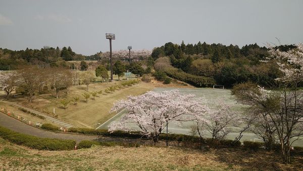 富里市七栄の中古一戸建て(酒々井総合公園)