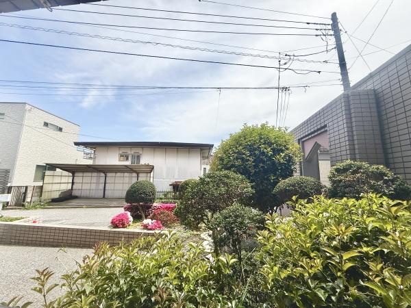 リズ稲毛