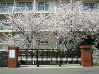 千葉市稲毛区宮野木町1551番　新築戸建　A号棟(千葉市立宮野木小学校)