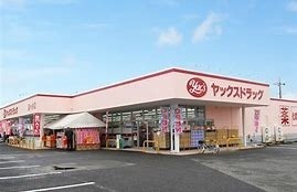 富里市立沢新田の中古一戸建て(ヤックスドラッグ三里塚店)
