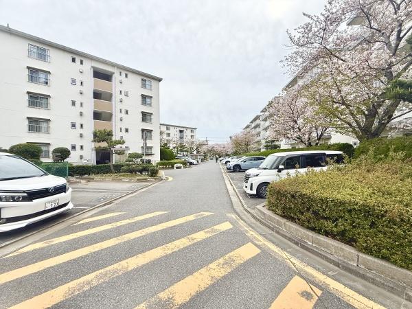 高洲3丁目住宅10号棟