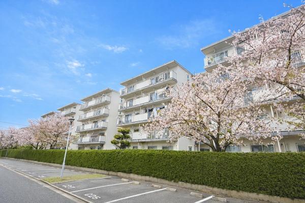 高洲3丁目住宅10号棟