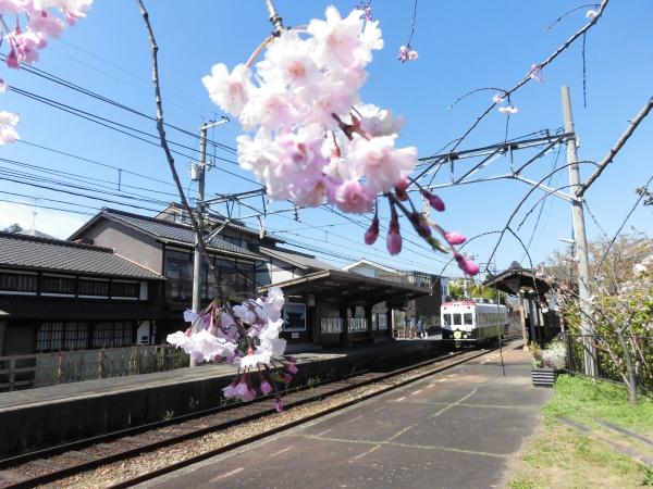 京都市右京区御室竪町保養所(御室仁和寺駅(京福北野線))