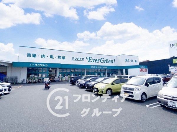 北葛城郡広陵町大字平尾　新築一戸建て(スーパーエバグリーン広陵店)