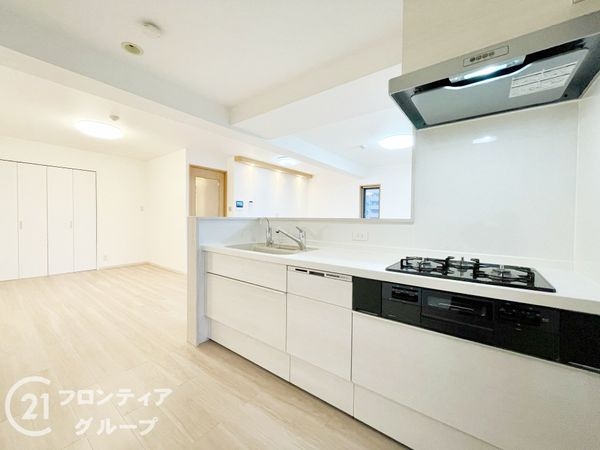 ルイシャトレ大和八木　中古マンション