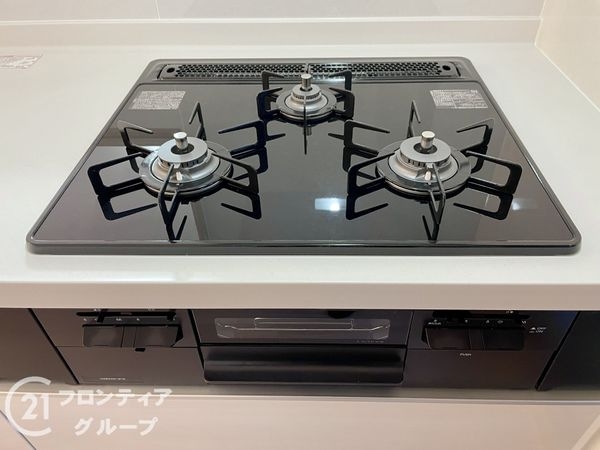 ルイシャトレ大和八木　中古マンション