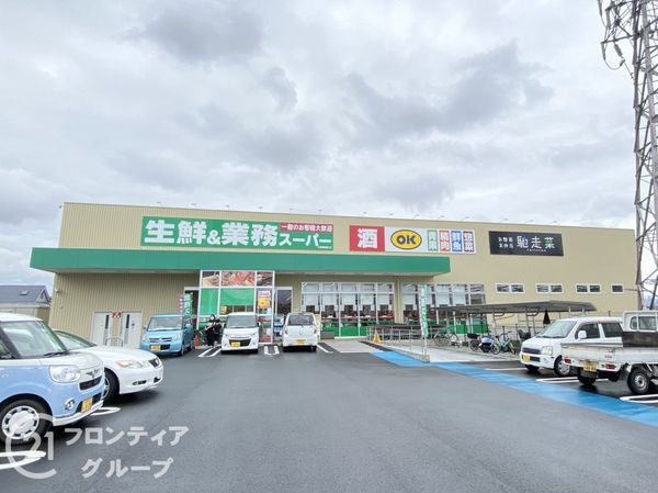 大和高田市大字築山　新築一戸建て　第５　２号棟(業務スーパー大和高田店)