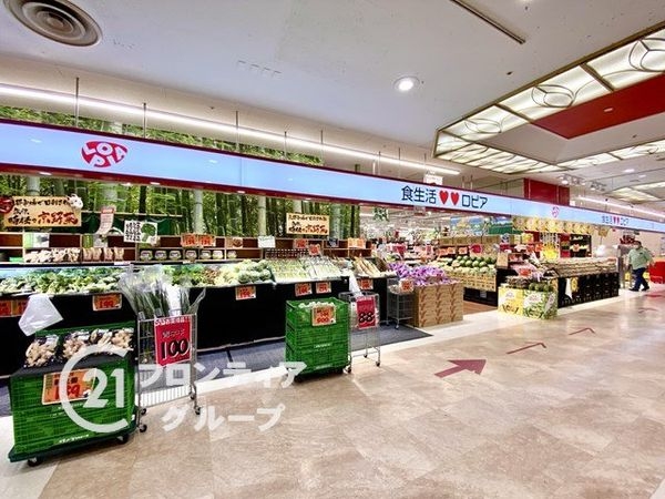マンハイム奈良　中古マンション(ロピアミ・ナーラ店)