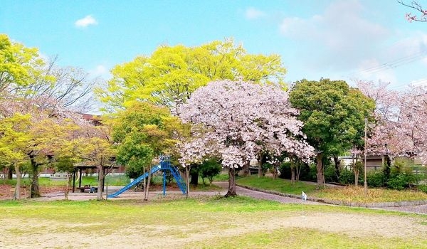 奈良市若葉台２丁目　新築一戸建て　２期　全１区画(西大寺野神緑地)