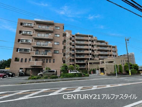 セザール中央林間南