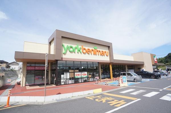 守谷市美園2丁目の新築一戸建(ヨークベニマル取手戸頭店)