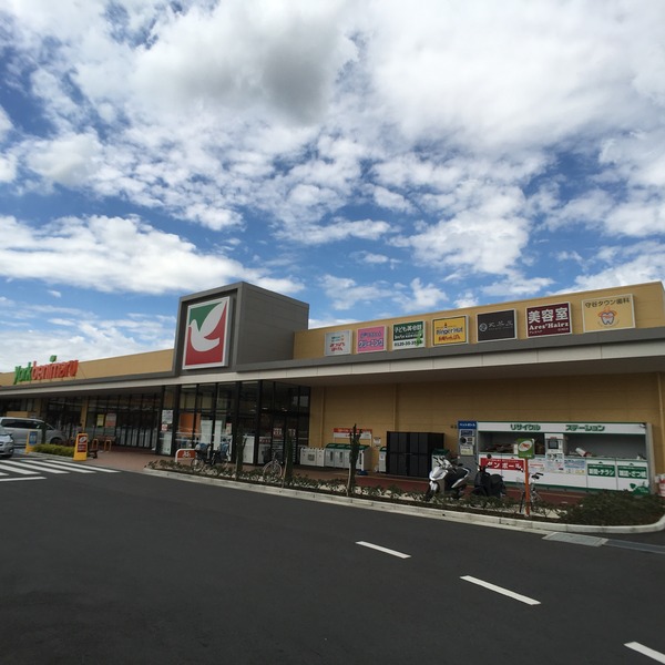 守谷市百合ケ丘2丁目の土地(ヨークベニマル守谷店)
