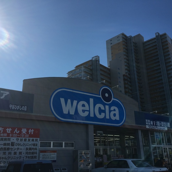 守谷市百合ケ丘2丁目の土地(ウエルシア守谷ひがし野店)