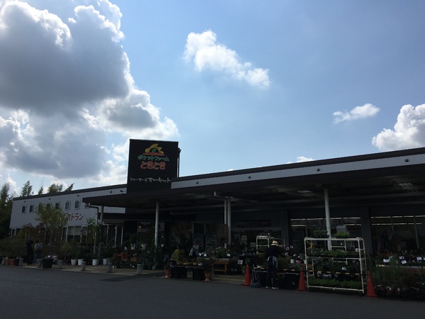 つくば市北中島の新築一戸建(ポケットファームどきどきつくば牛久店)