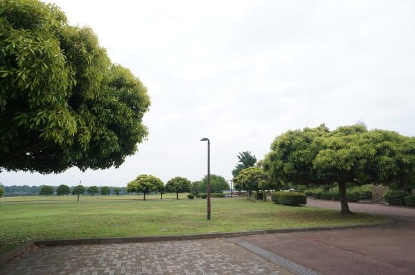 つくば市自由ケ丘の新築一戸建(つくば市茎崎運動公園多目的広場)