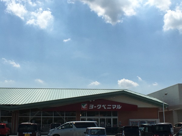 つくば市高野の新築一戸建(ヨークベニマル豊里店)