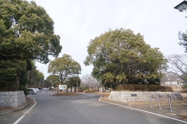 常総市坂手町の新築一戸建(きぬ総合公園)