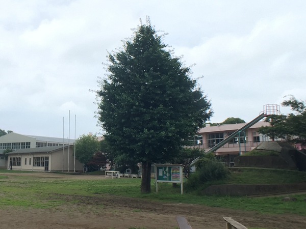 つくば市栗原の新築一戸建(つくば市立栗原小学校)