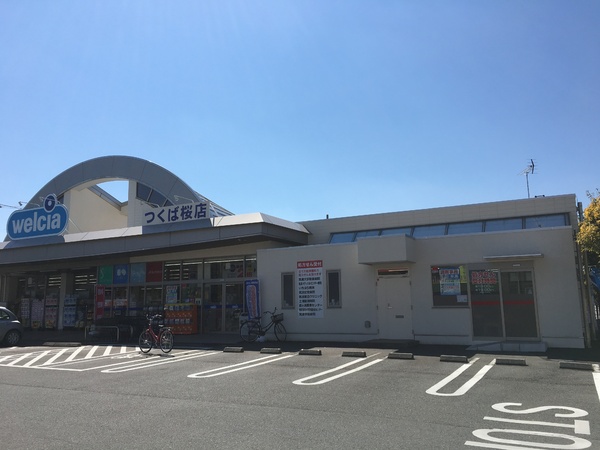 つくば市栗原の新築一戸建(ウエルシア薬局つくば桜店)