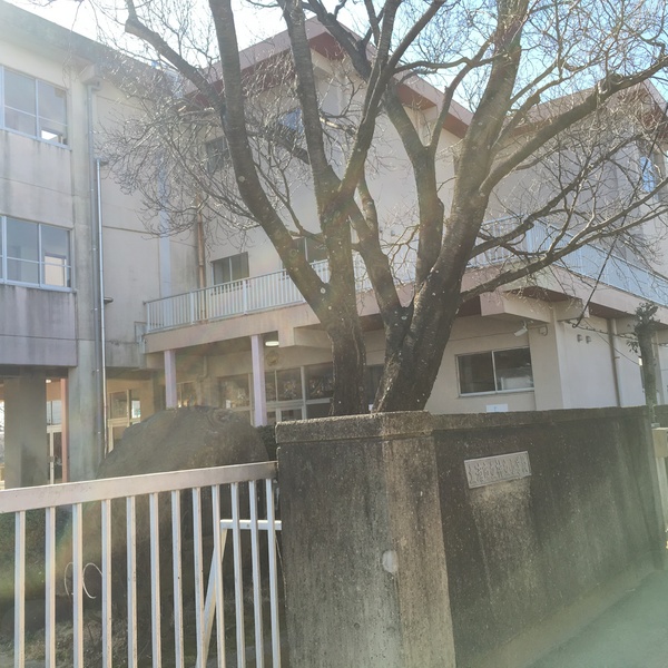 土浦市神立町の新築一戸建(土浦市立神立小学校)