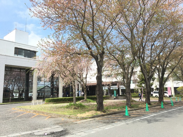 土浦市神立町の新築一戸建(医療法人社団青洲会神立病院)