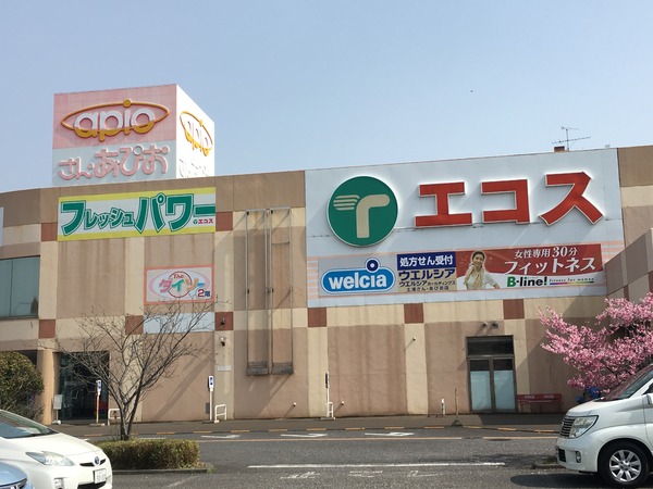 土浦市高岡の新築一戸建(エコス新治SC店)