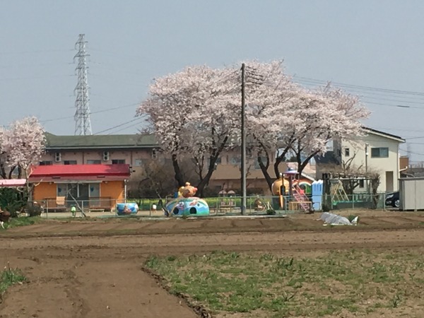 土浦市高岡の新築一戸建(高岡保育園)