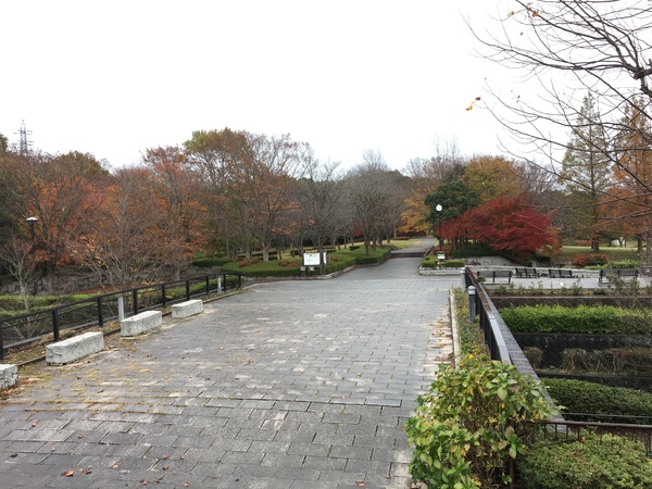 龍ケ崎市平台４丁目の新築一戸建(北竜台公園)