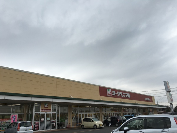 つくば市観音台１丁目の土地(ヨークベニマル谷田部店)