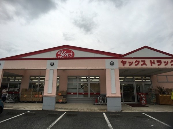 つくば市高見原１丁目の新築一戸建(ヤックスドラッグつくば高見原店)