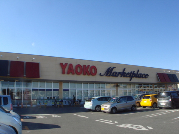 取手市井野の新築一戸建(ヤオコー取手青柳店)