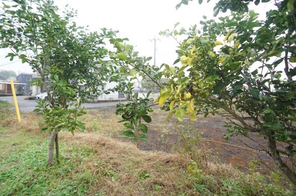 牛久市牛久町の売土地