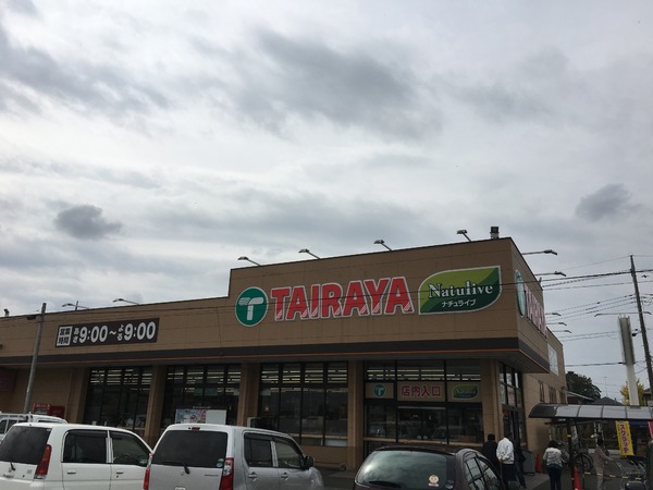 常総市収納谷の土地(エコスTAIRAYA石下店)