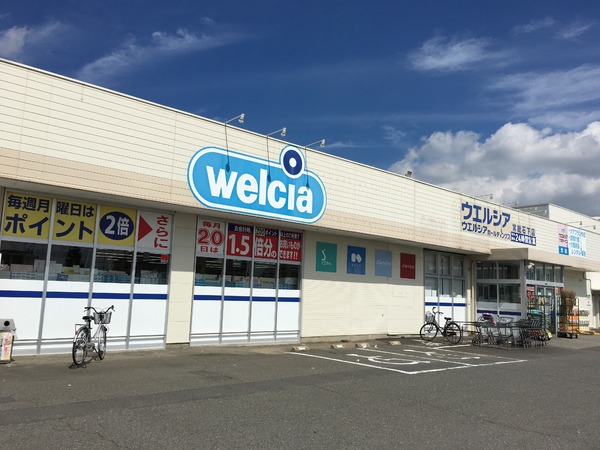 常総市収納谷の土地(ウエルシア常総石下店)