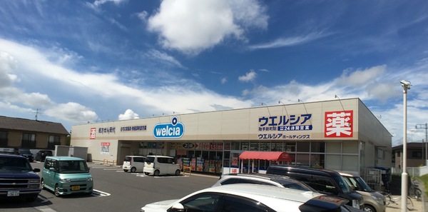 取手市井野台2丁目の新築一戸建(ウエルシア取手新町店)